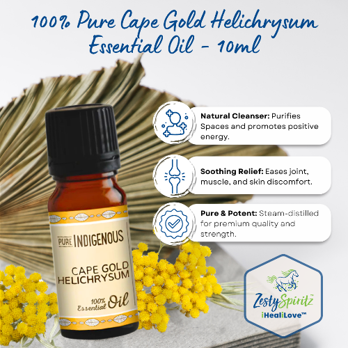 100_Pure_Cape_Gold_Helicrysum_Essential_Oil_Benefits_ZestySpiritz