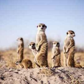 Authentic_Kalahari_Salt_Pan