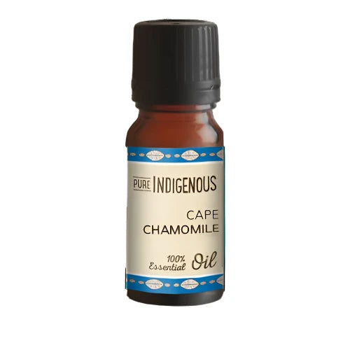 Cape Chamomile Essential Oil – 100% Pure, 10ml