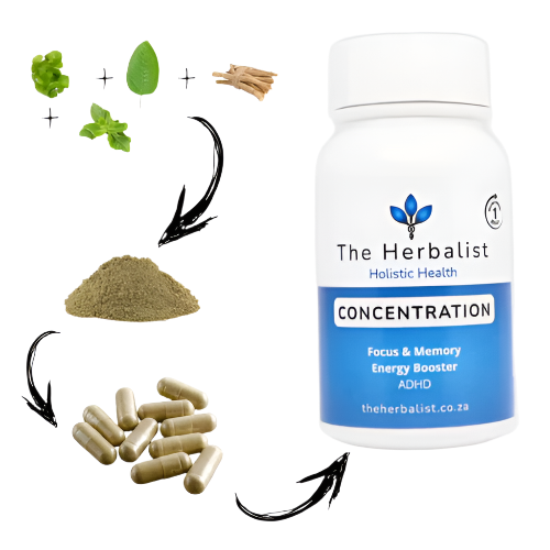 Concentration_Herbs_ZestySpiritz