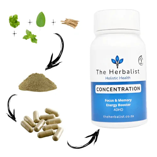 Natural Focus Support Capsules 60 with herbal ingredients for mental clarity and alertness.