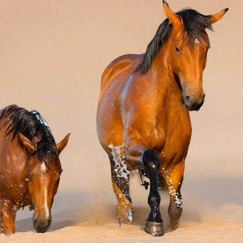 ZestySpiritz Happy Bath Salts 130g in a clear jar with colorful crystals and a soothing bath setting.