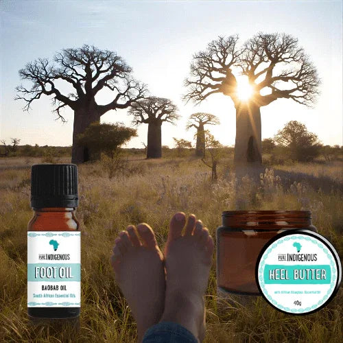 Baobab foot oil and heel butter displayed with a scenic backdrop of South African baobab trees.