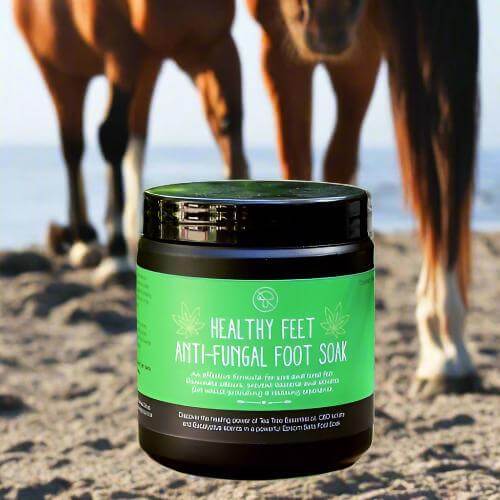 ZestySpiritz Healthy Feet Anti-fungal Foot Soak 500g in a clear container with a vibrant label.