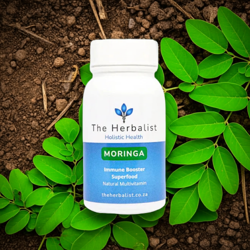 Moringa-The Miracle Plant_ZestySpiritz