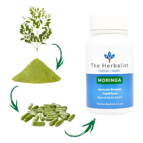 Moringa Capsules for Energy and Immune Support 60/120 with pure Moringa leaf powder for natural health benefits.