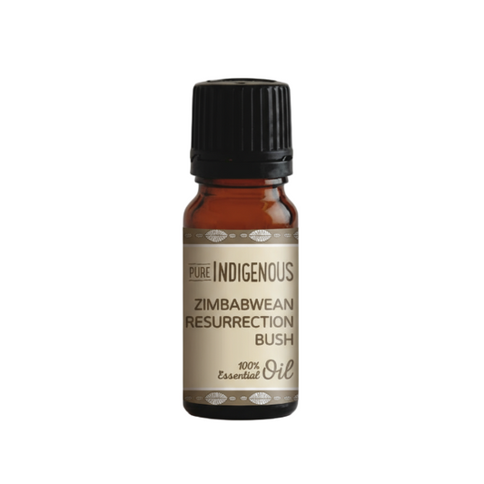 Bottle of Pure Indigenous Zimbabwean Resurrection Bush essential oil on a white background