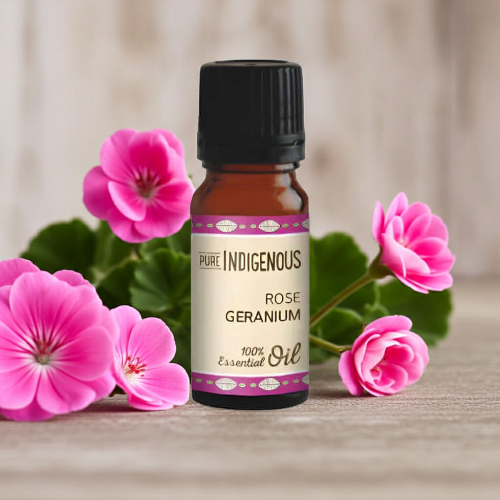 Pure Rose Geranium Flowers and Oil_ZestySpiritz