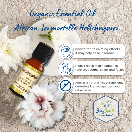 100% African Immortelle Essential Oil 10ml - ZestySpiritz™