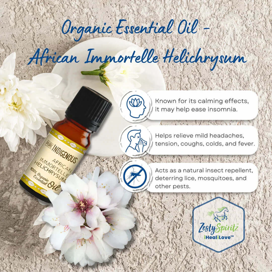 100% African Immortelle Essential Oil 10ml bottle by ZestySpiritz with a dark amber color and dropper cap.