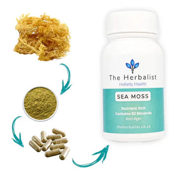 sea_moss_ZestySpiritz