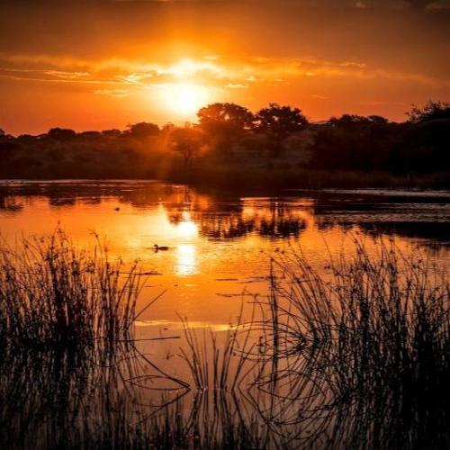sunset outdoors