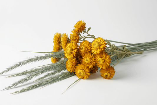 Local flora products southern africa featuring vibrant yellow flowers and green grass stems.