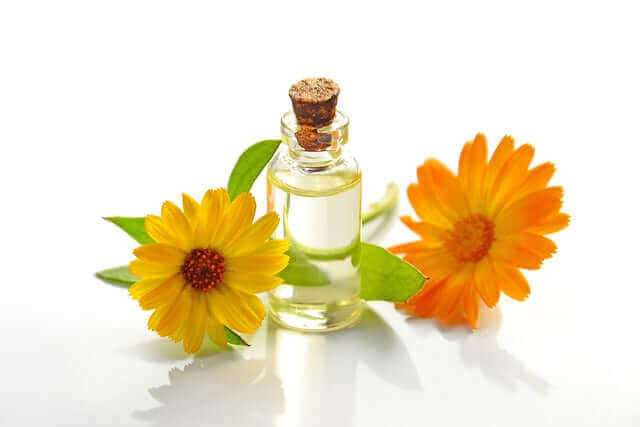 A bottle of essential oil surrounded by vibrant yellow flowers highlighting the African essential oils benefits.