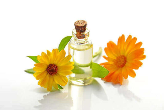 A bottle of essential oil surrounded by vibrant yellow flowers highlighting the African essential oils benefits.