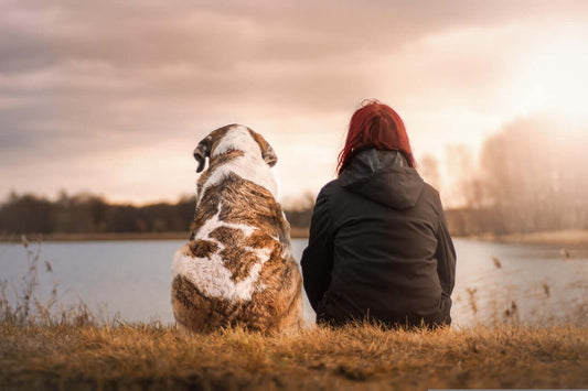 Person and dog enjoying peaceful moment by the lake, representing natural stress relief South Africa.