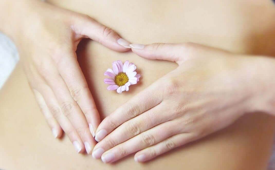 Gut Health Essentials: Tummy Love GutWell Collection