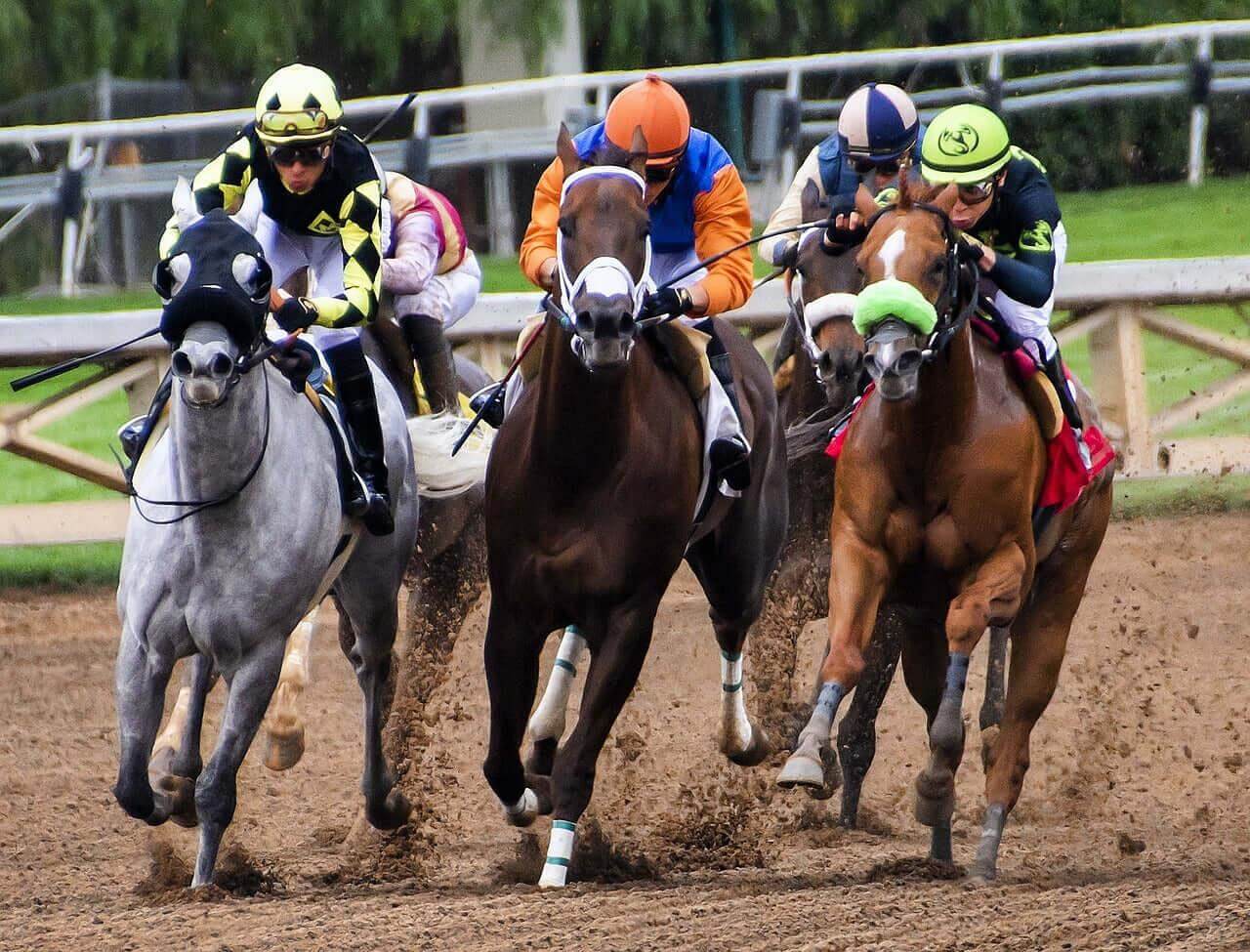 A thrilling horse race featuring jockeys in colorful uniforms competing for victory on the track,symbolising impact of sports recovery products
