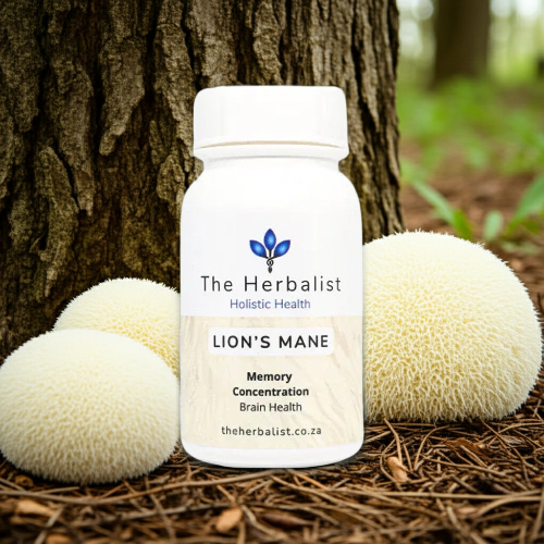 Lion's Mane -Support your Brain, Naturally_ZestySpiritz