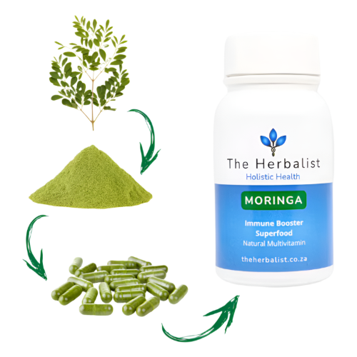 Moringa_herb_ZestySpiritz