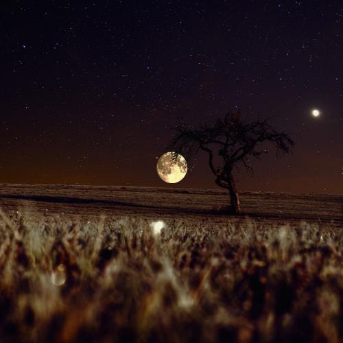 Night_Time