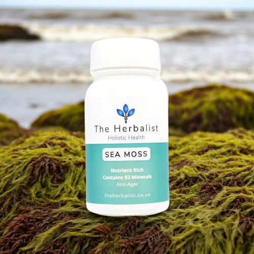 Sea Moss on Natural Bed of Sea Moss_ZestySpiritz