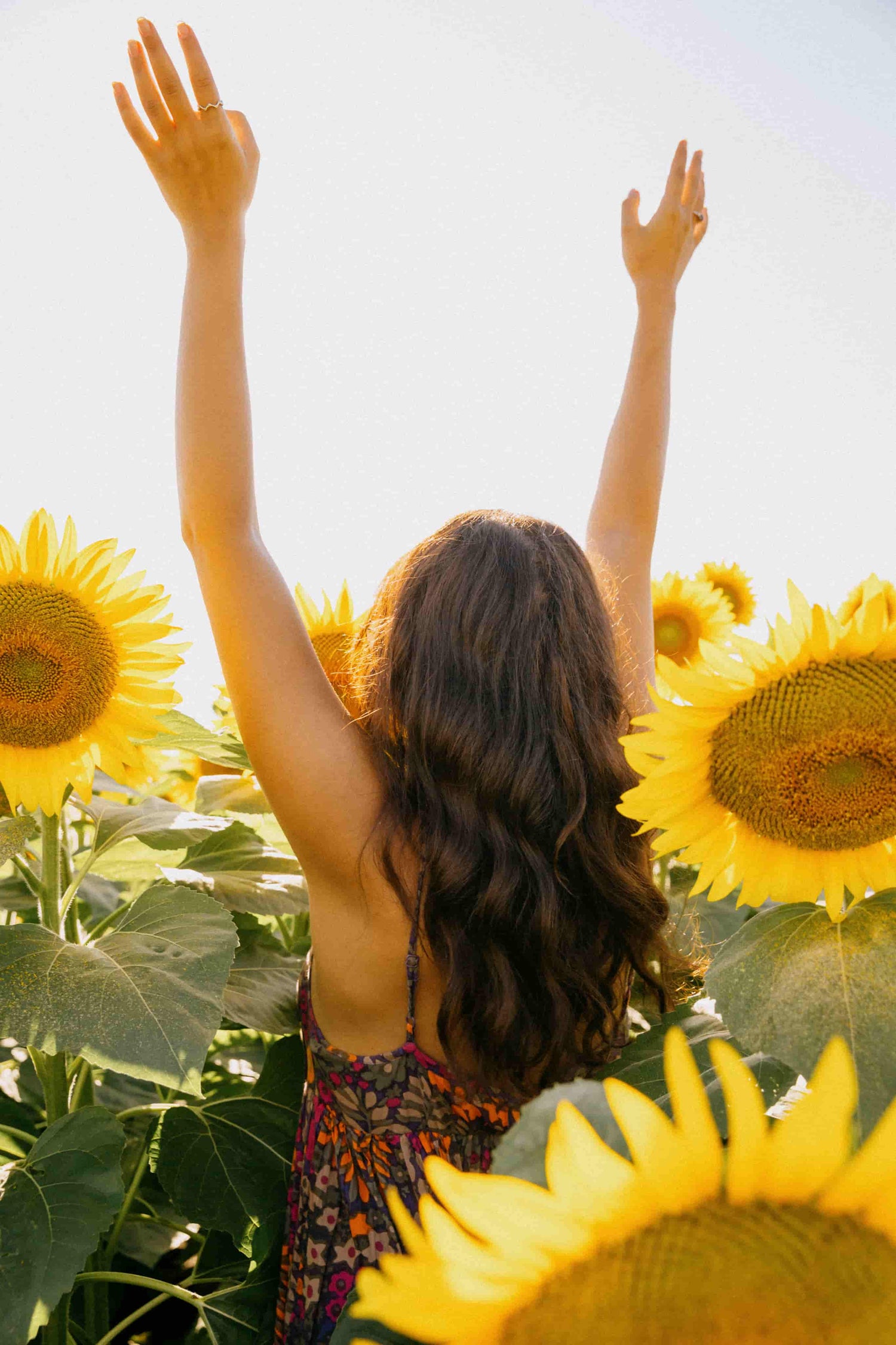 Woman with arms raised in a sunflower field